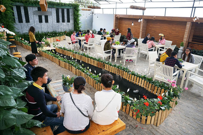  QUÁN CAFE TRONG NHÀ KÍNH TRỒNG RAU Ở ĐÀ LẠT